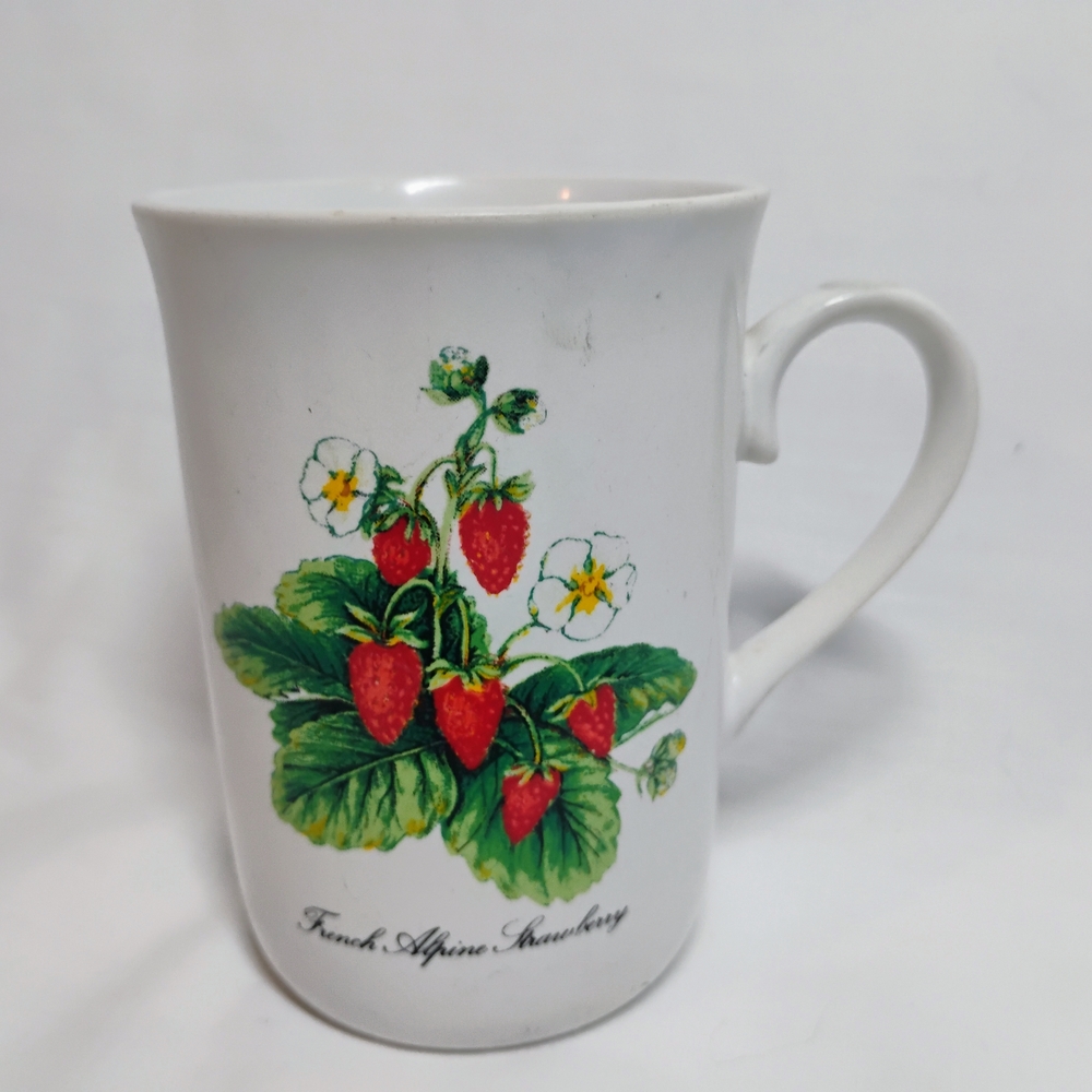 Strawberry Design White Mug
